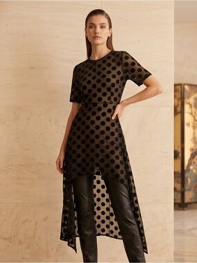Zara ZW Limited Collection Black Polka Dot High-Low Mesh Dress